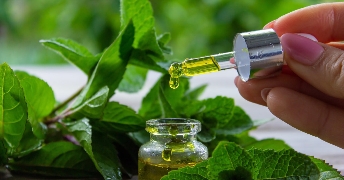 Compound of Peppermint Essential Oil