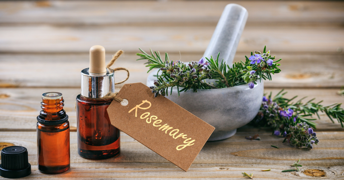 Health Benefits of Rosemary Essential Oil