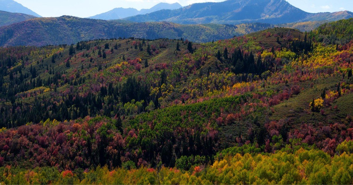 Aspen, Colorado (Summer)