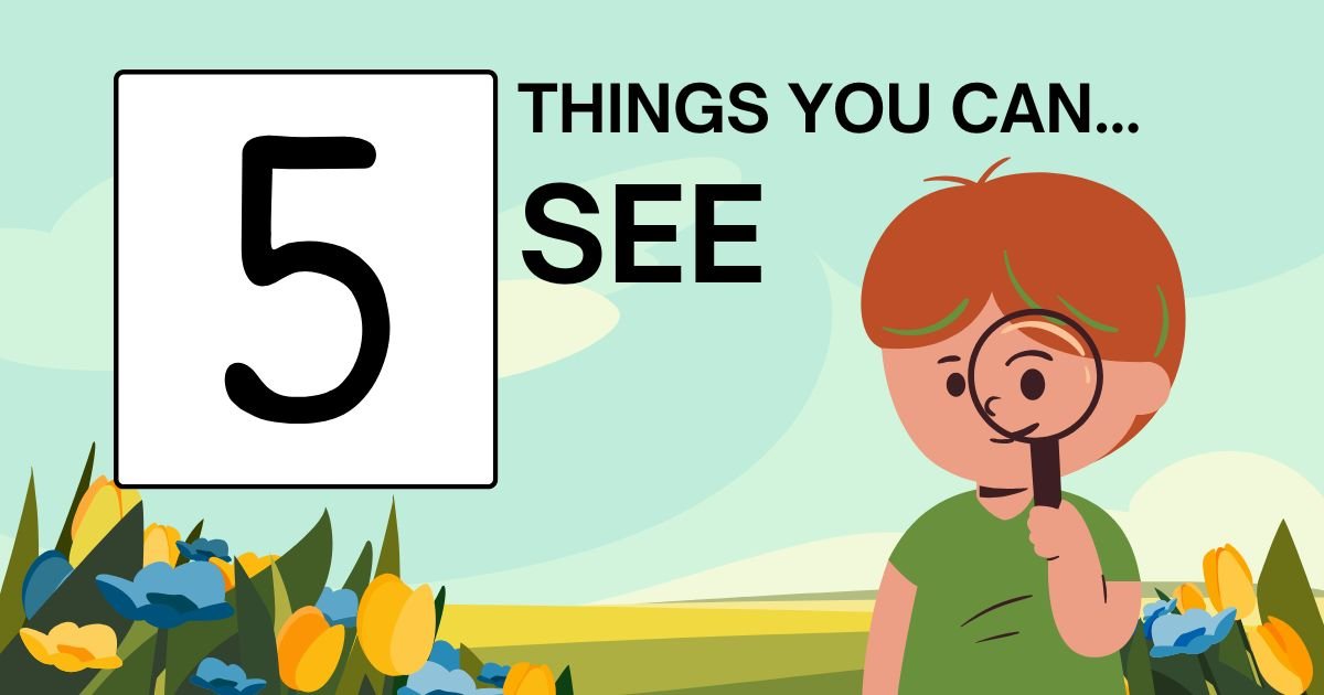 Five Things You Can See