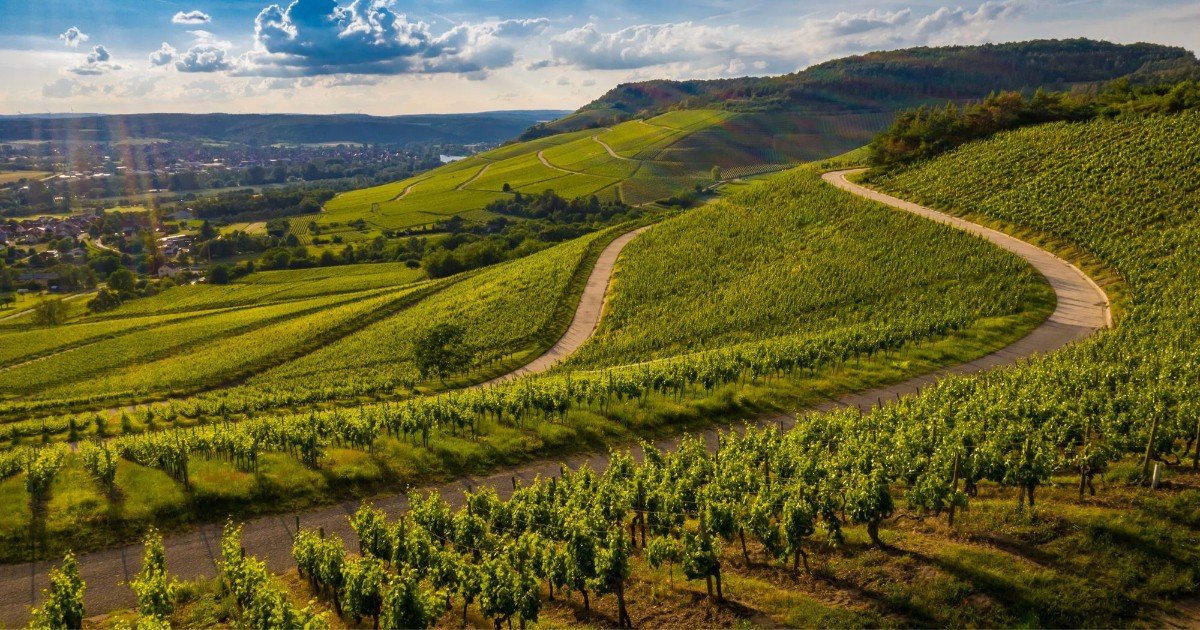 Napa Valley, California