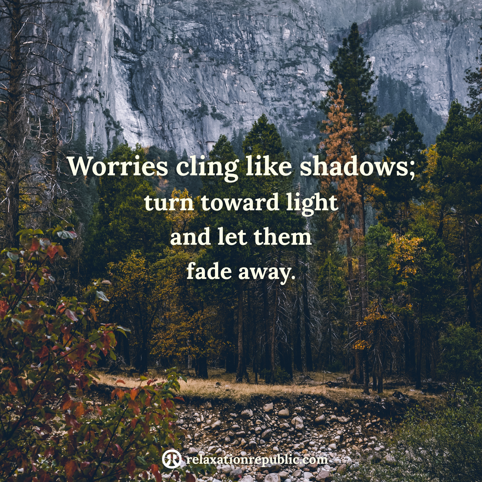 Worries cling